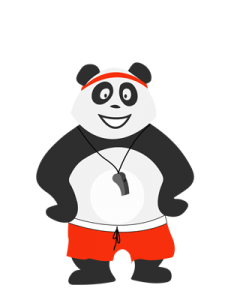 Panda en tenue de sport